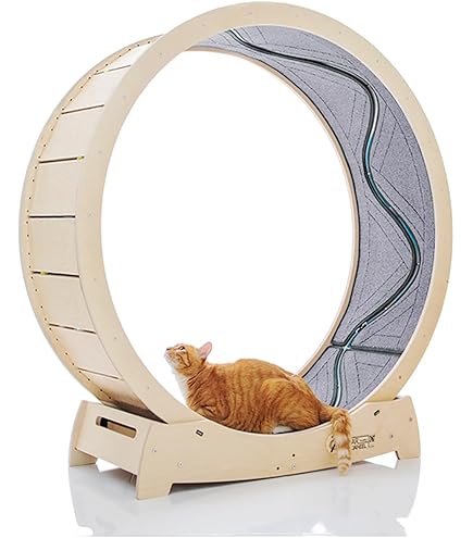 from cat st　10冊 Amazon.com : SHENGOCASE Cat Tree Tower Accessories